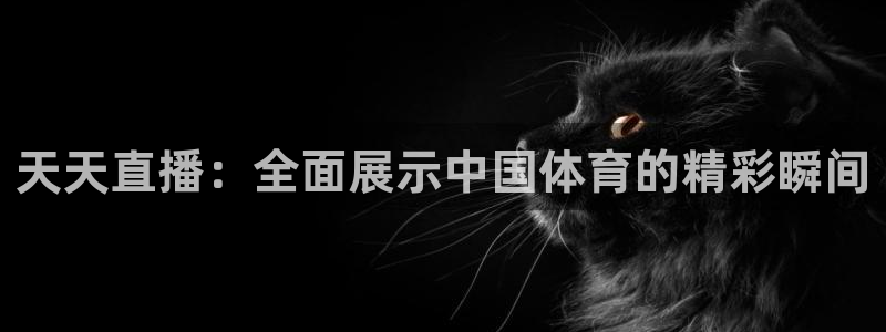 天天直播：全面展示中国体育的精彩瞬间