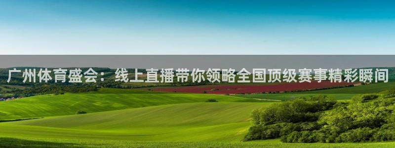 广州体育盛会：线上直播带你领略全国顶级赛事精彩瞬间