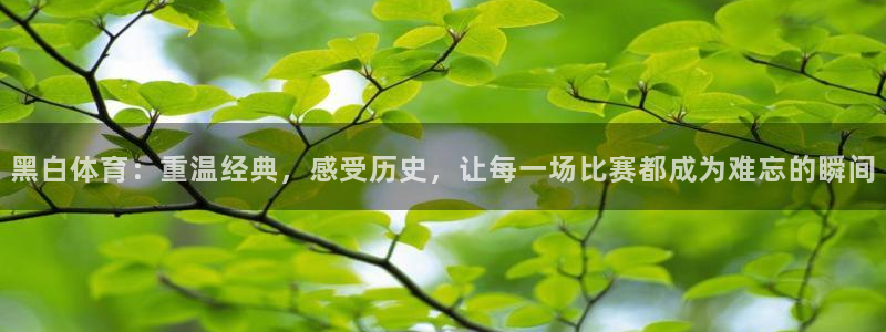 黑白体育：重温经典，感受历史，让每一场比赛都成为难忘的瞬间