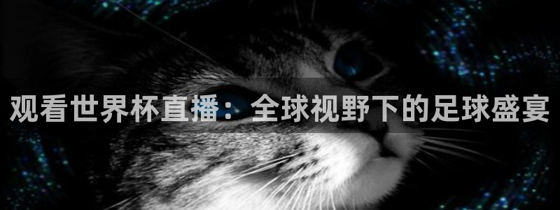 观看世界杯直播：全球视野下的足球盛宴