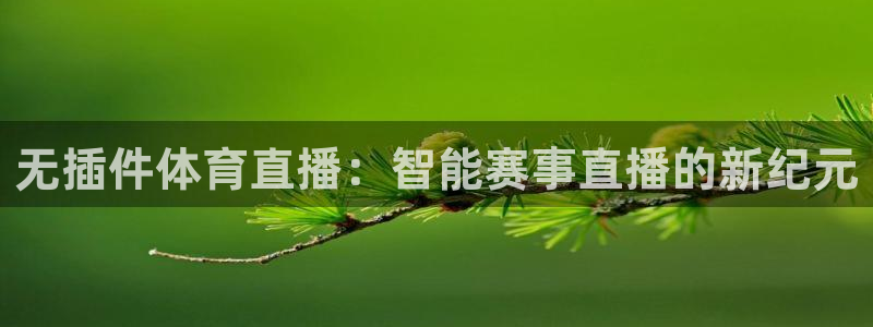 无插件体育直播：智能赛事直播的新纪元