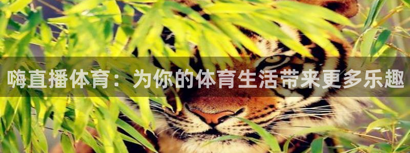 嗨直播体育：为你的体育生活带来更多乐趣