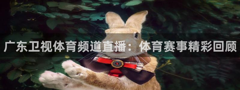 广东卫视体育频道直播：体育赛事精彩回顾