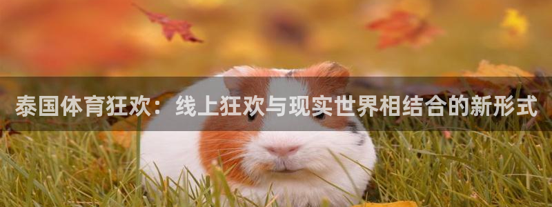 泰国体育狂欢：线上狂欢与现实世界相结合的新形式