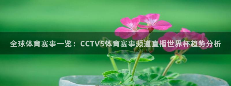 全球体育赛事一览：CCTV5体育赛事频道直播世界杯趋势分析